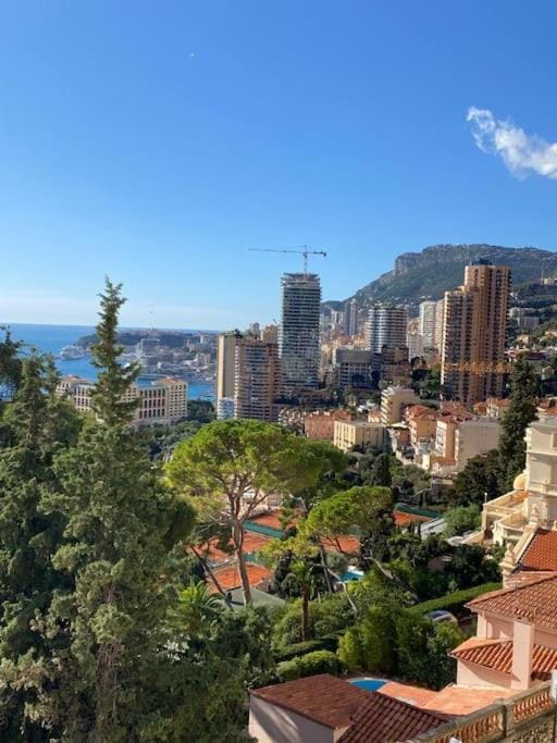 Monaco One bedroom apartment with Panoramic sea view Apartment in Roquebrune-Cap-Martin