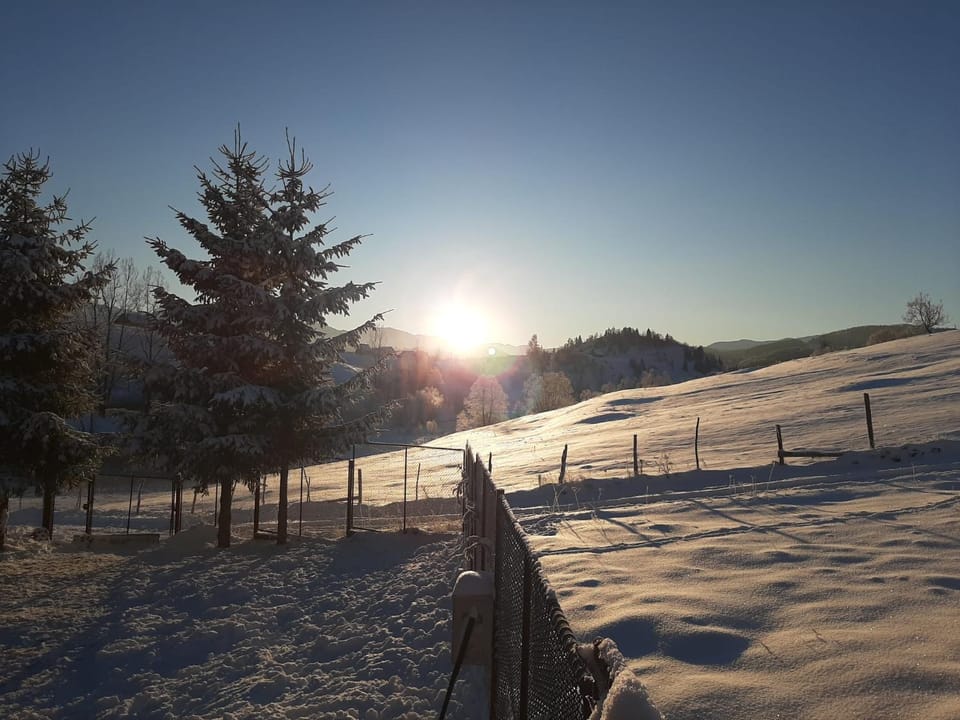 Sunrise
