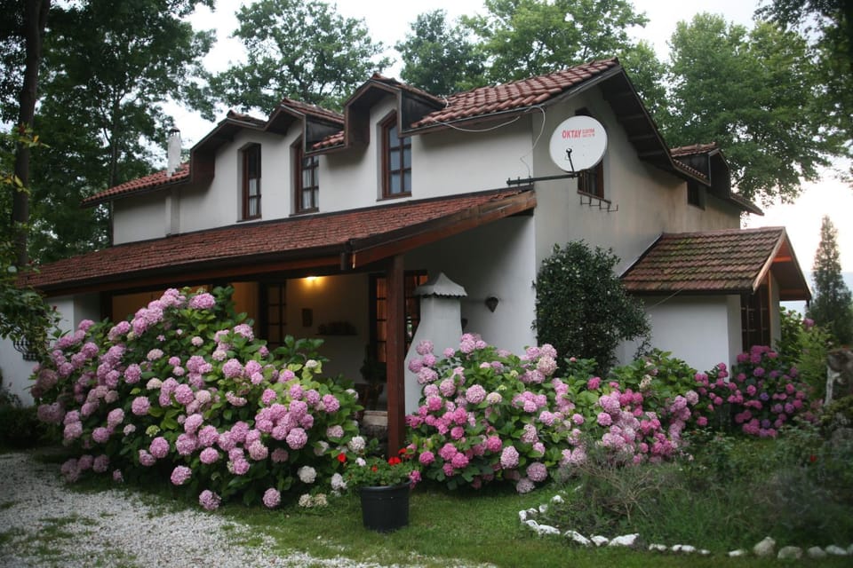 Facade/entrance, Lobby or reception