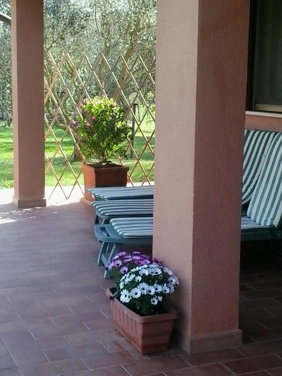 Agriturismo Camera dei ladri Farm Stay in Tuscany