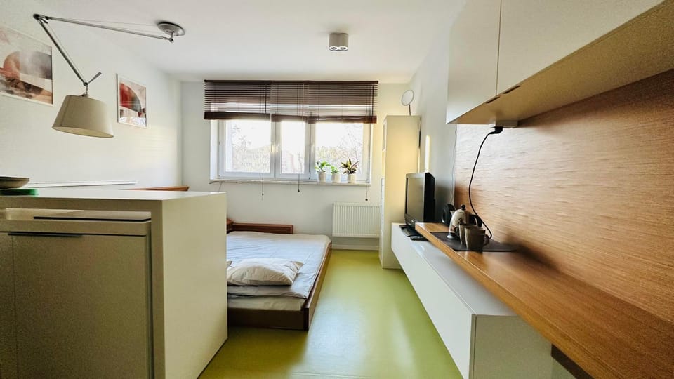 Bed, TV and multimedia, Kitchen or kitchenette, Living room, Photo of the whole room, Seating area, Bedroom, hair dresser