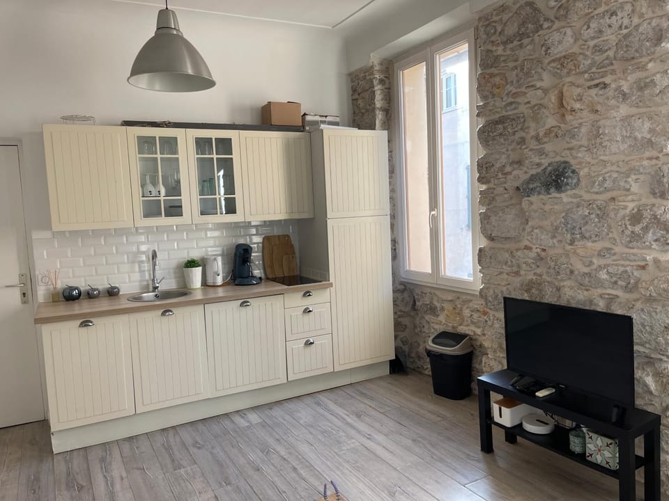 Coffee/tea facilities, Kitchen or kitchenette, minibar, pet friendly