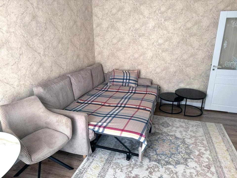 Abay street- Tashkent city center Apartment in Europe
