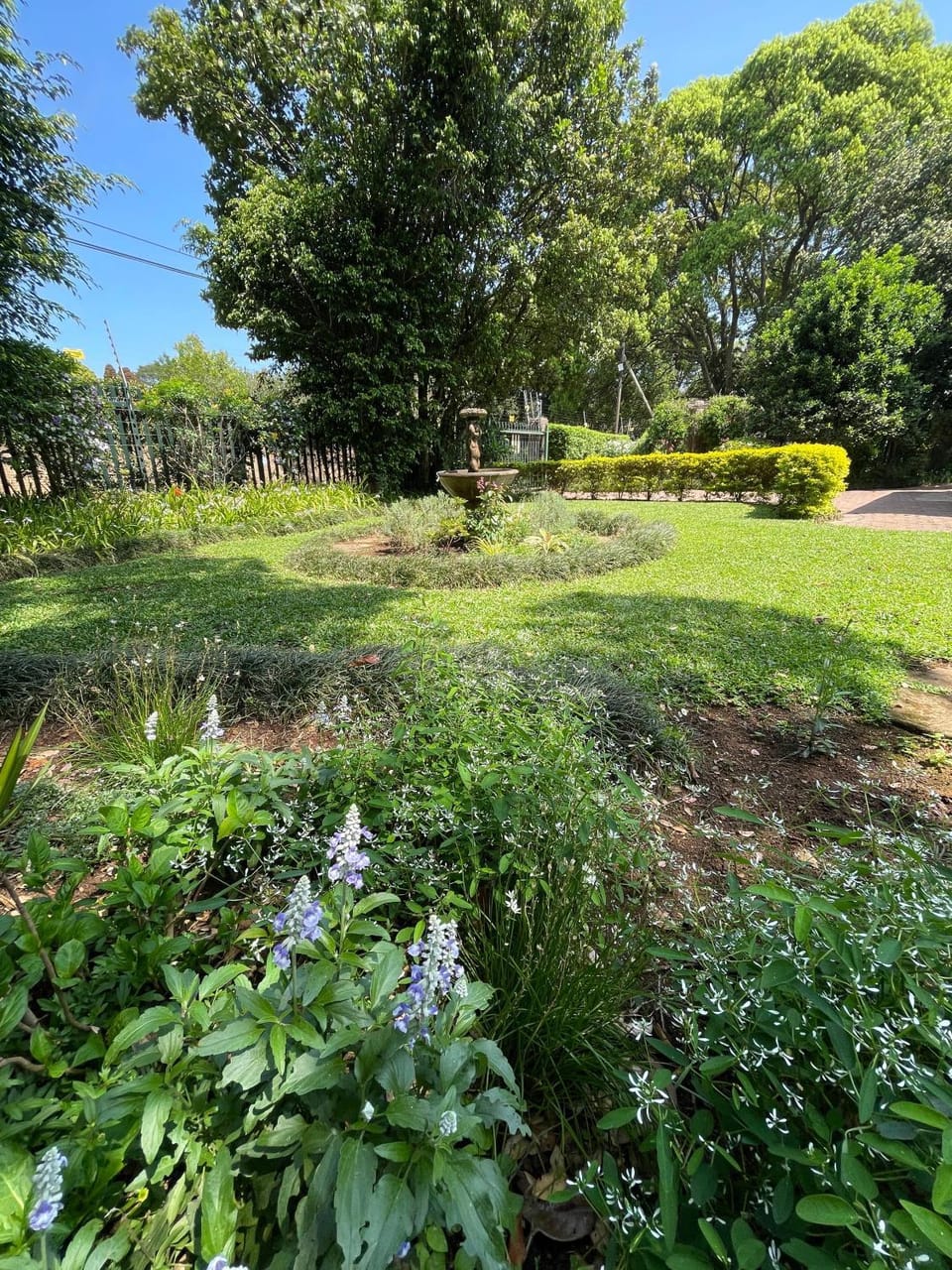 Garden view