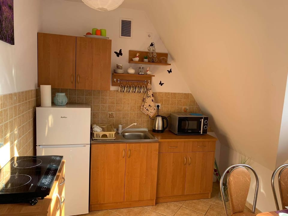 Kitchen or kitchenette, minibar, stove