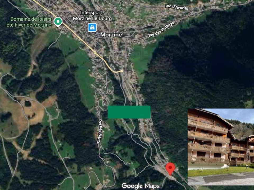 Appartement 3 chambres au pied du téléphérique - Animaux admis - FR-1-754-73 Apartment in Morzine