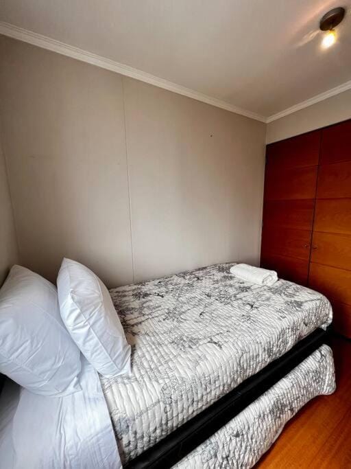 Providencia Centro 2D-2B Vista & Parking Apartment in Providencia