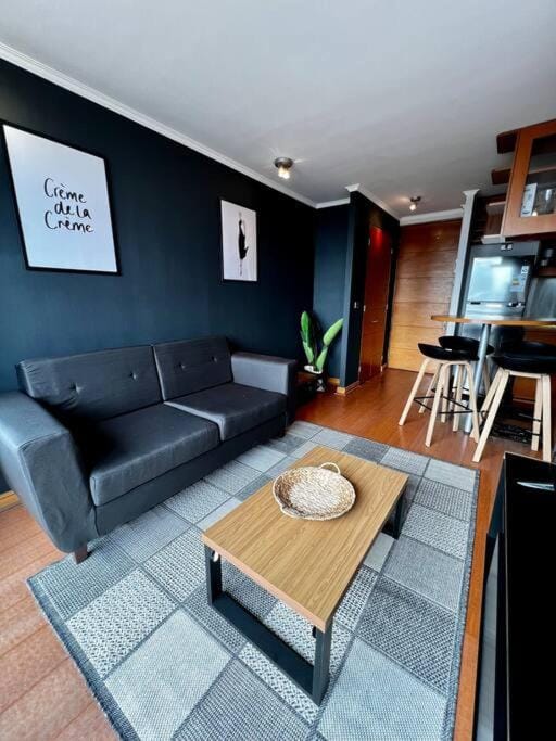 Providencia Centro 2D-2B Vista & Parking Apartment in Providencia