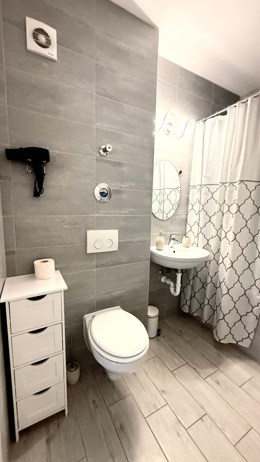 Happy Home Avantgarden Apartment in Brasov