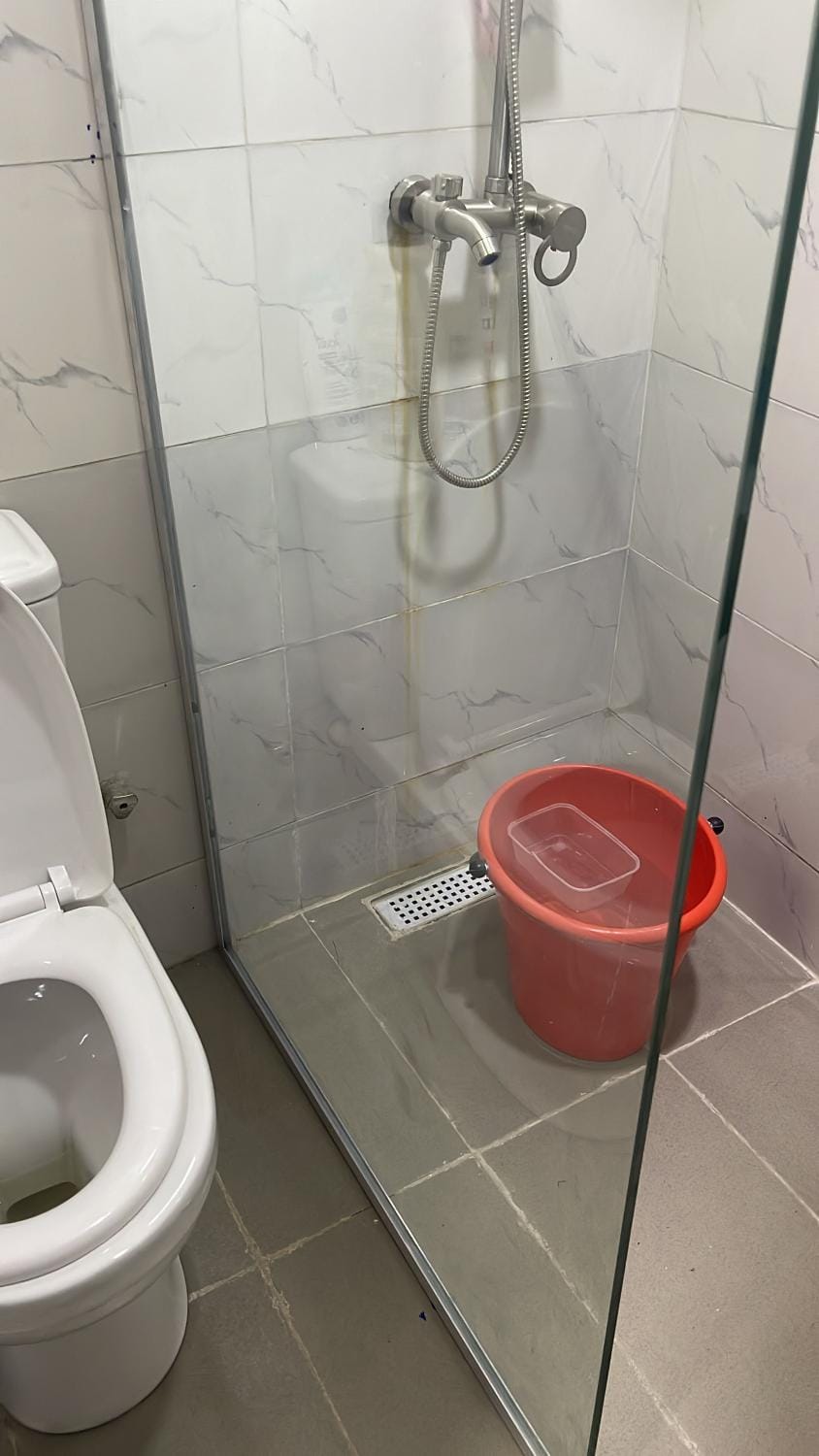 Shower, Toilet, Bathroom, bidet