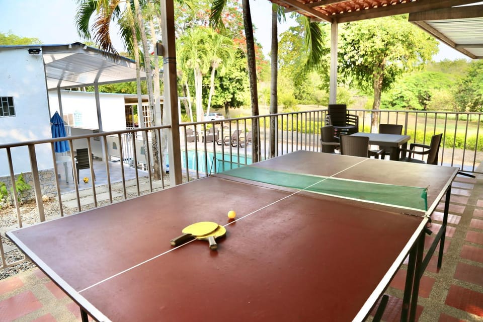 Day, Table tennis