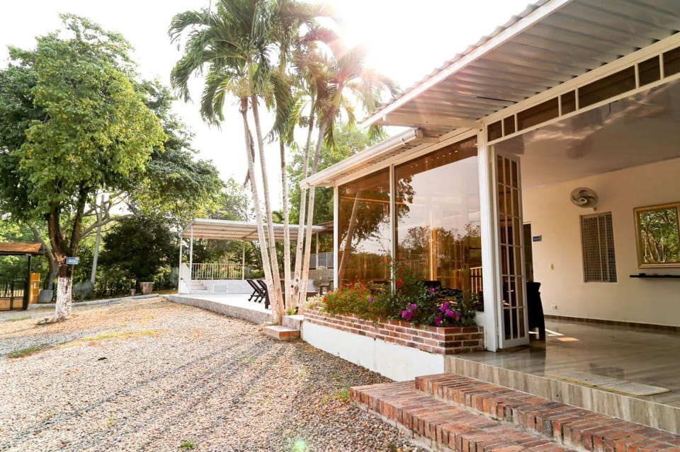 Spring, Garden, Garden view