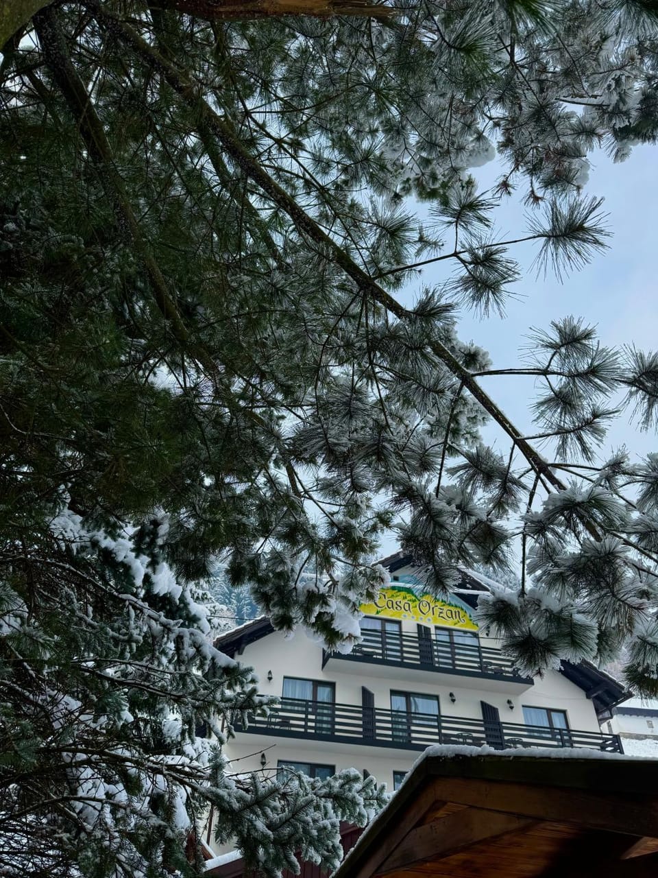 Pensiunea Orzan Bed and Breakfast in Brașov County