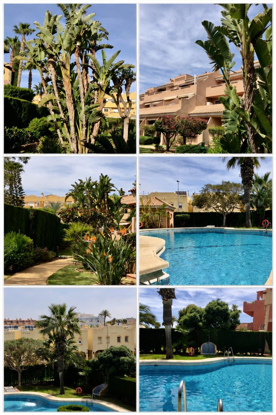 Garden, Garden view, Garden view, Swimming pool