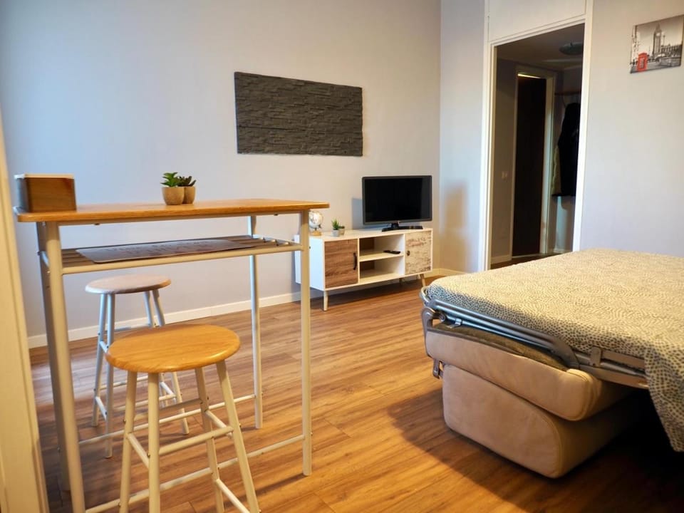 Communal lounge/ TV room, Bed, TV and multimedia, Photo of the whole room, Seating area, Dining area, Evening entertainment