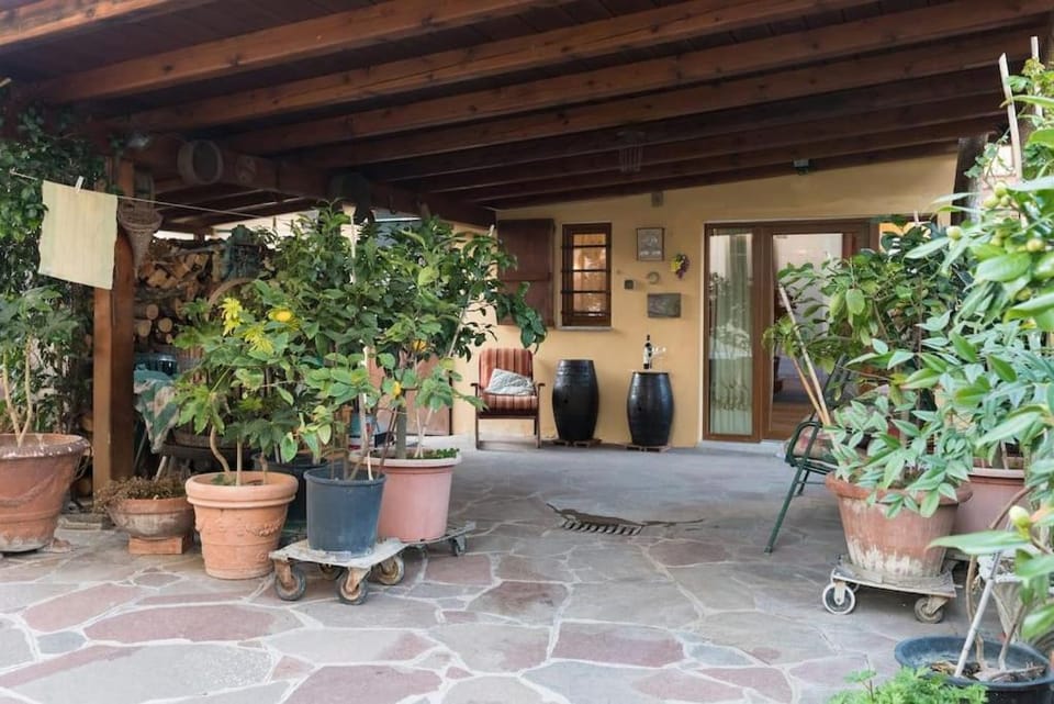 Patio, Garden, Garden view