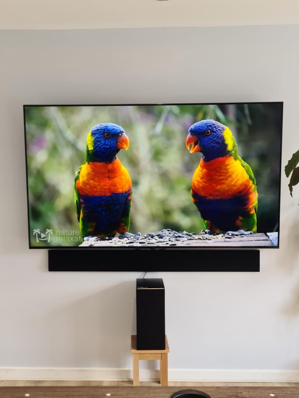 TV and multimedia
