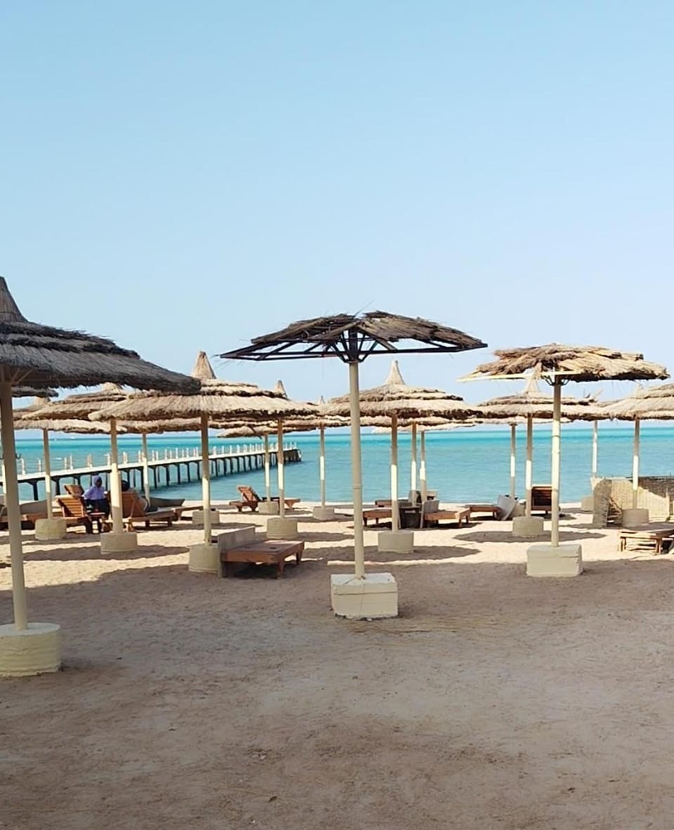 Natural landscape, Beach, sunbed