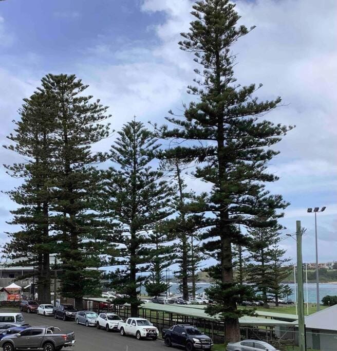 Seabreeze Luxury Apartment Kiama Apartment in Kiama