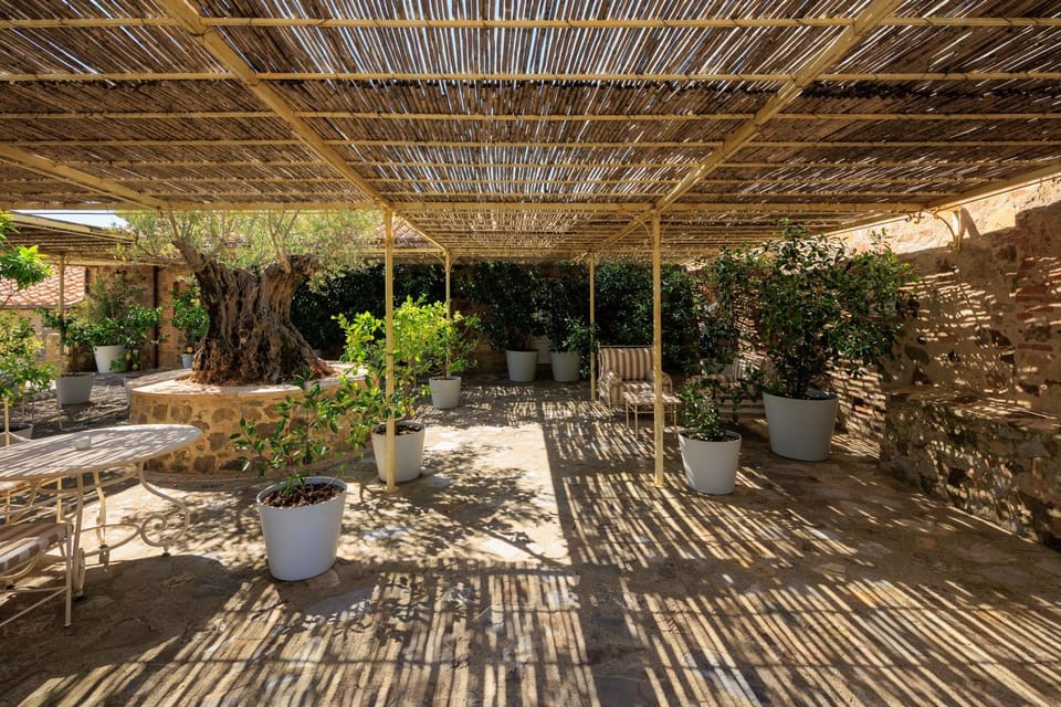 Patio, Garden, Garden view