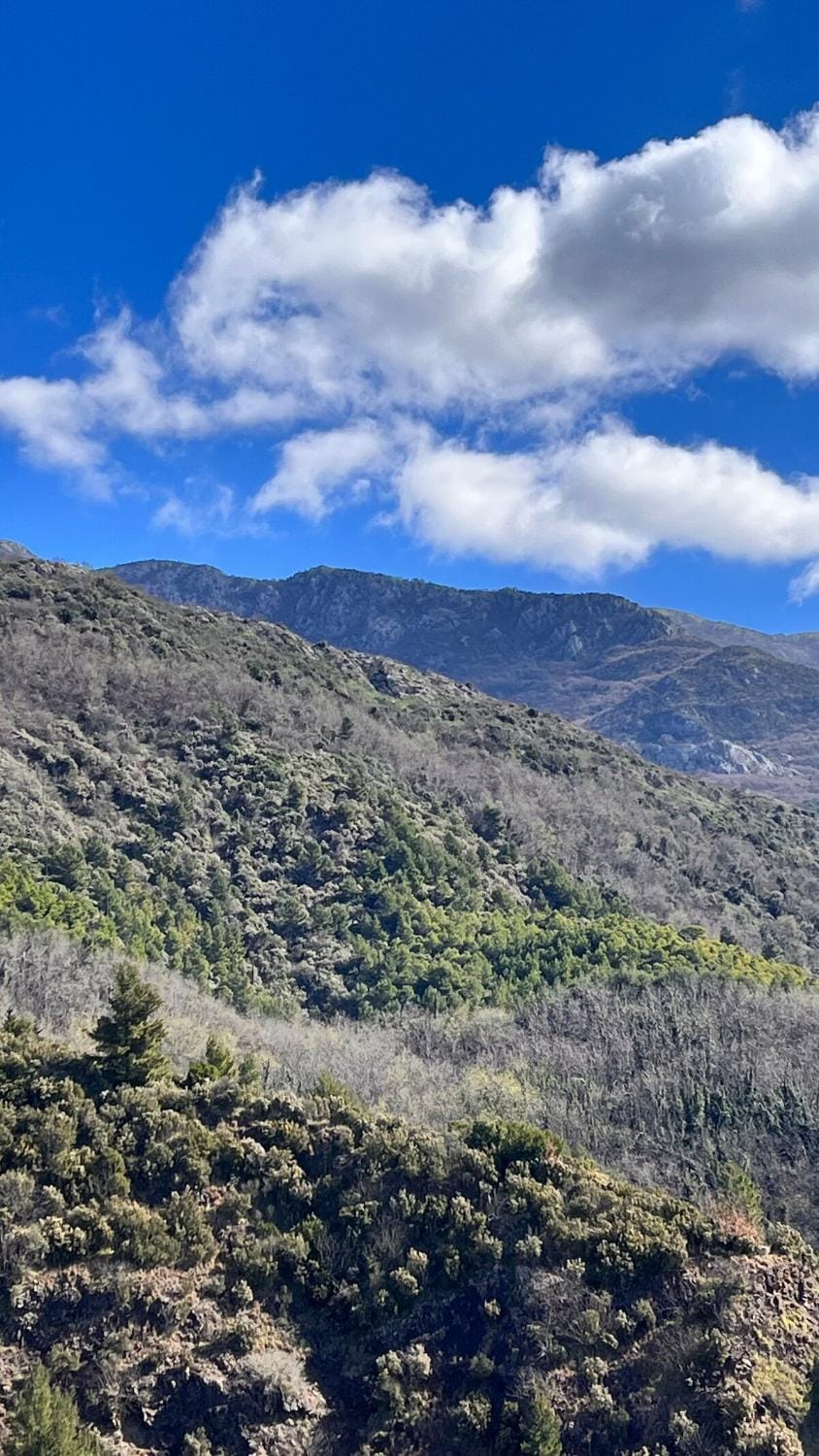 Mountain view