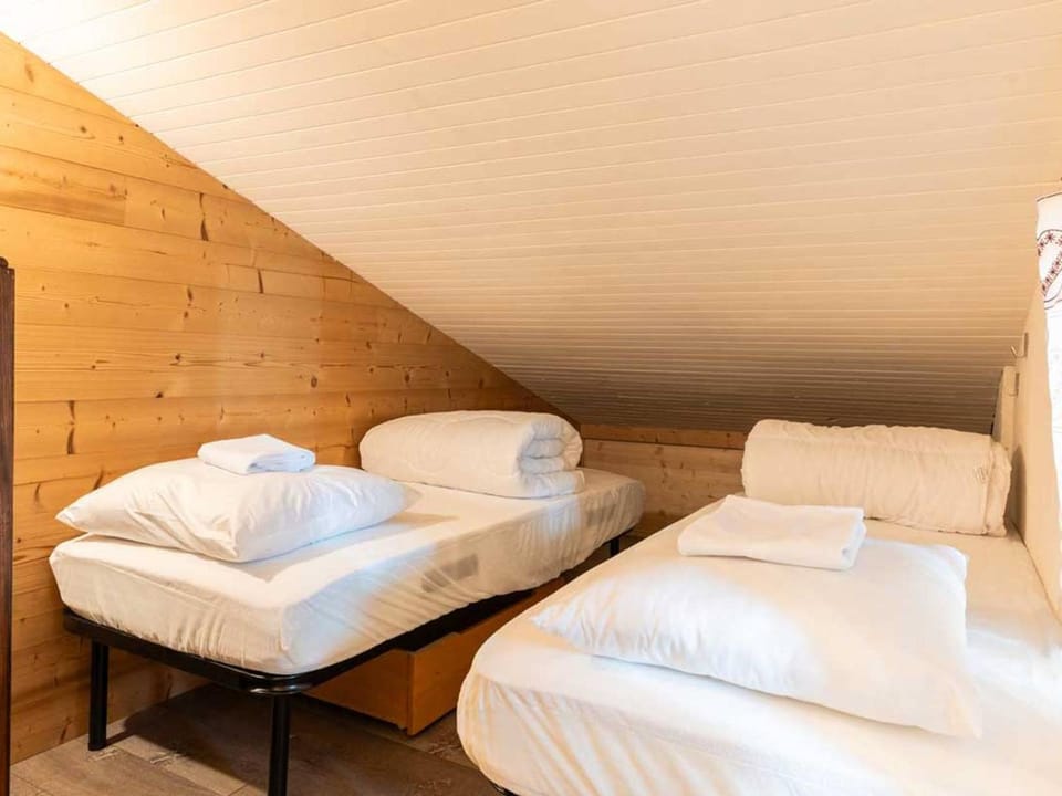 Duplex 3 pièces pour 6 pers, balcon, skis aux pieds, parking dispo - FR-1-291-1005 Apartment in Les Avanchers-Valmorel