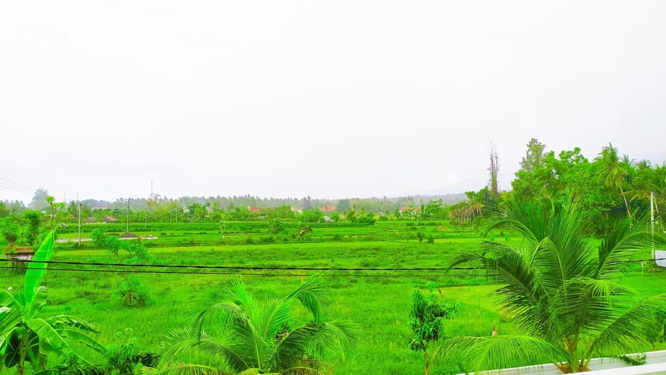 Natural landscape, Garden, Garden view