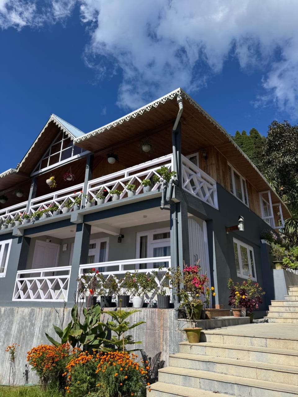 Pine Forest Retreat Villa in West Bengal