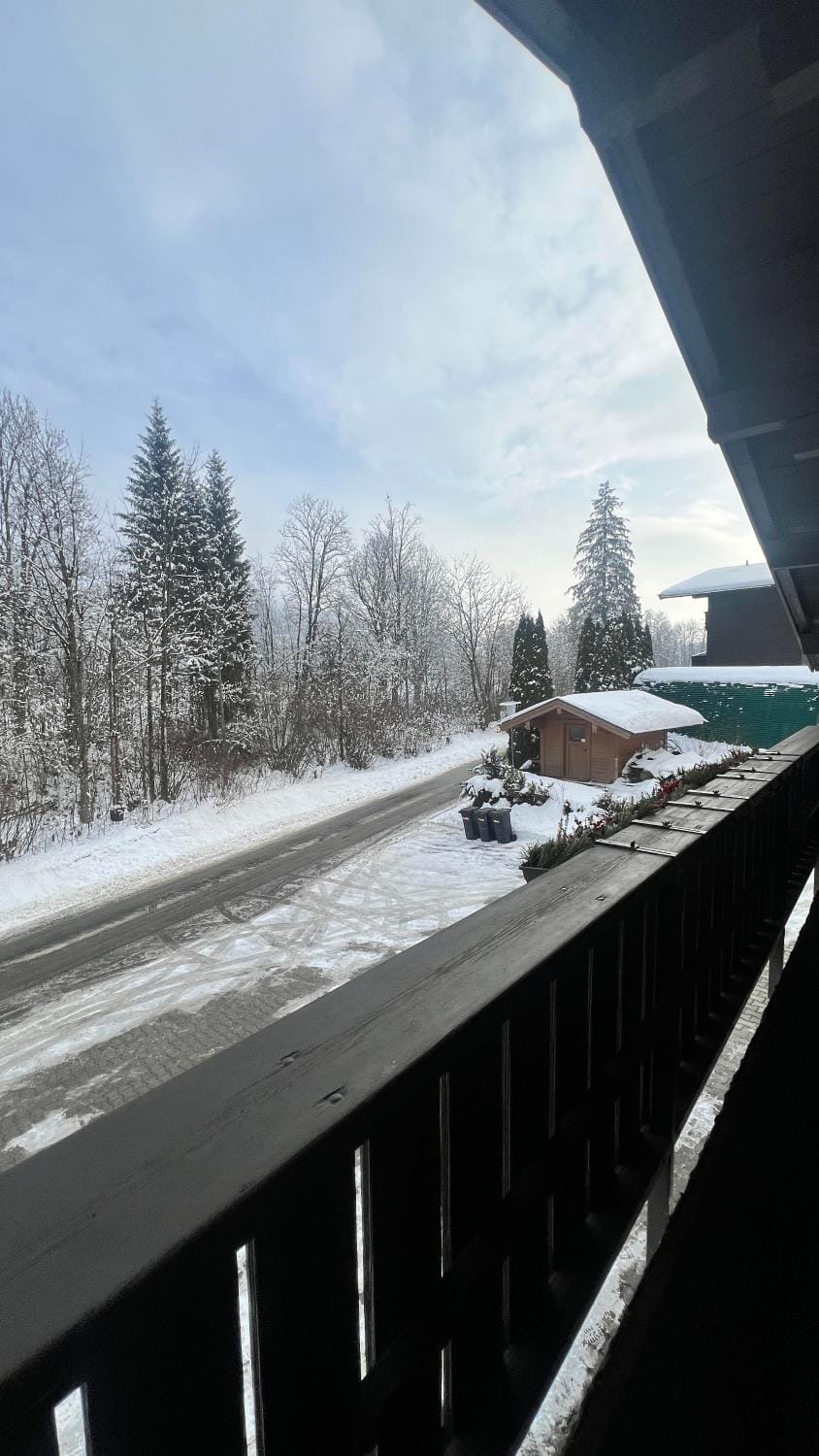 Hanna's Home Apartment in Kitzbuhel