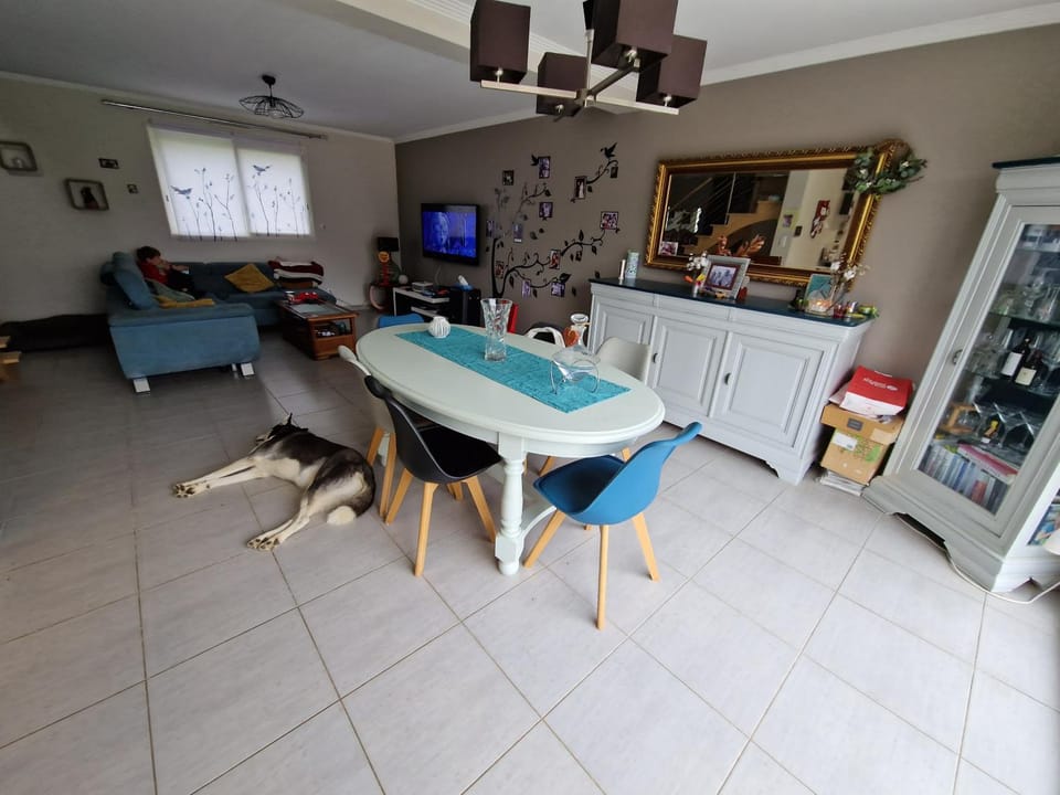 Living room, Seating area, Dining area