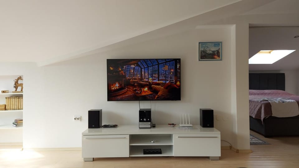 TV and multimedia