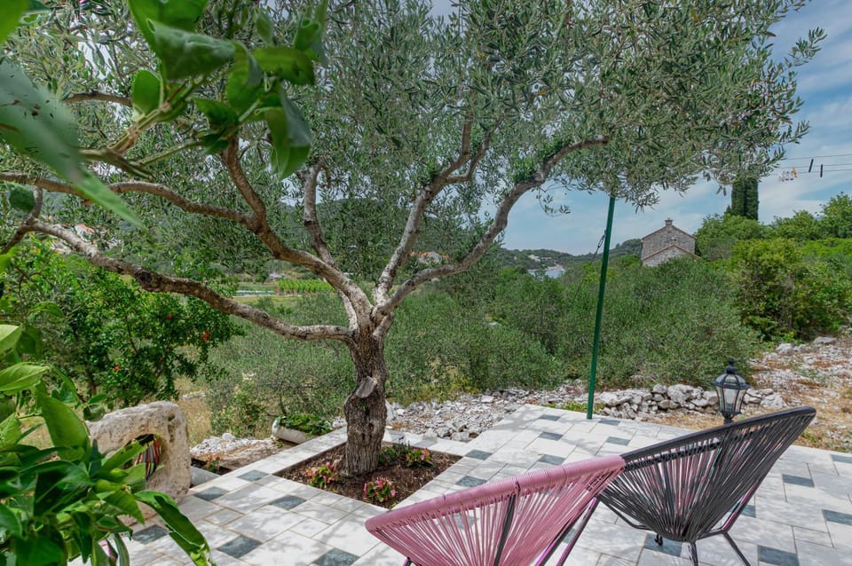 Patio, Garden