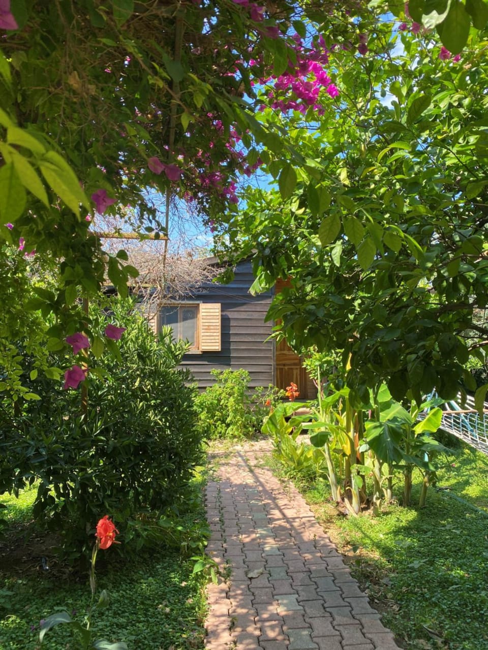 Garden view