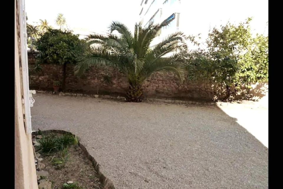 Day, Garden view, Inner courtyard view