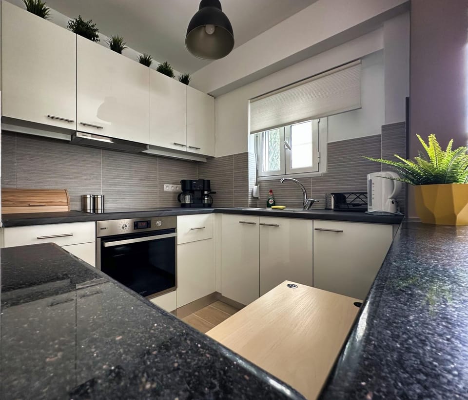 Kitchen or kitchenette, pet friendly