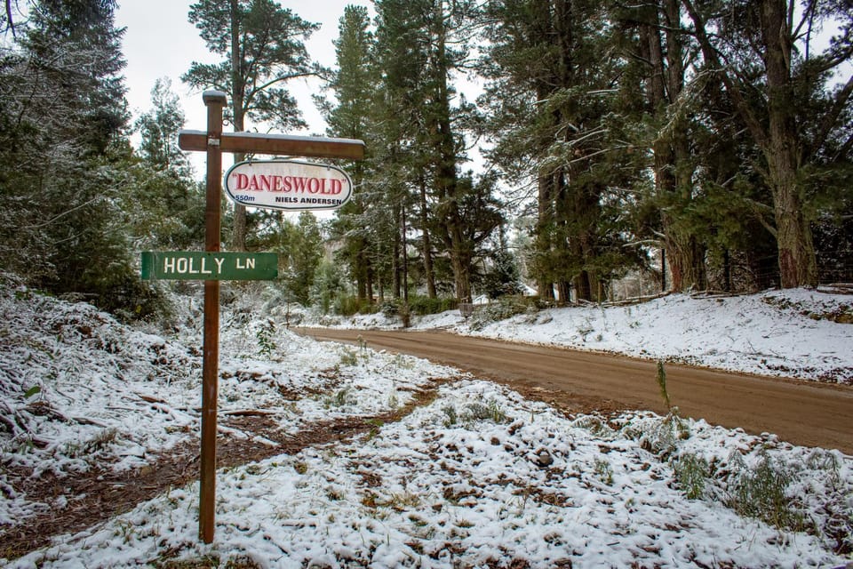 Day, Property logo or sign, Natural landscape, Winter, Street view