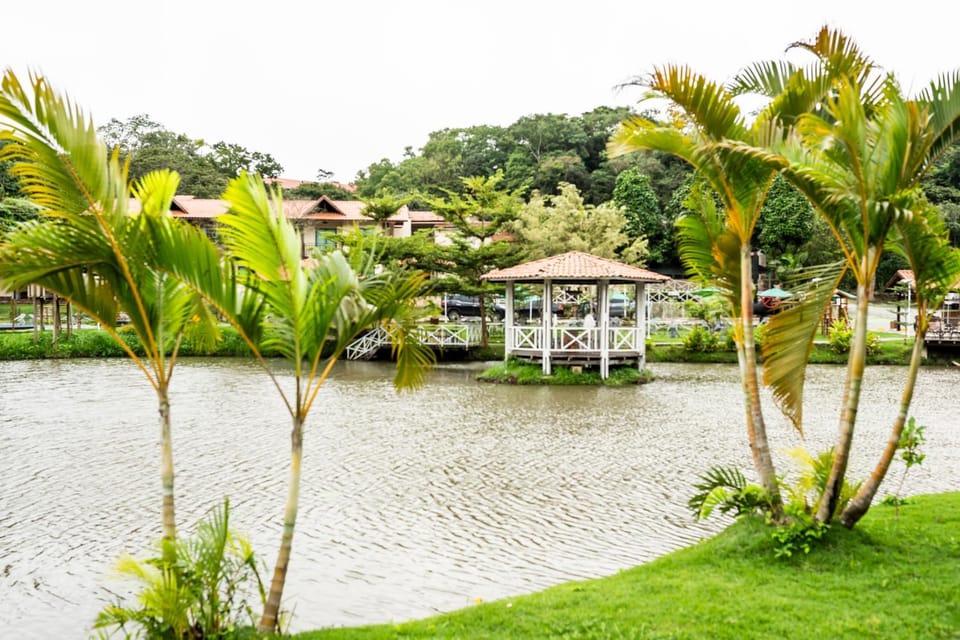 Lake view