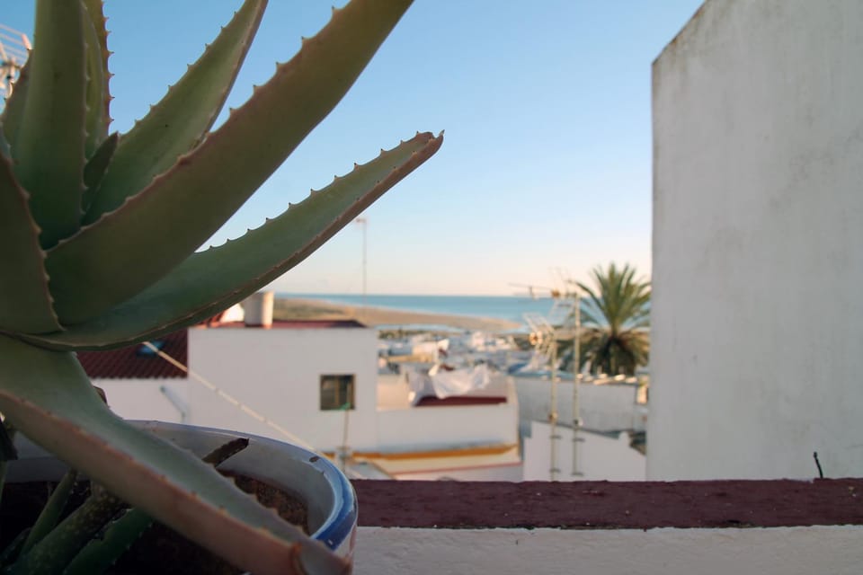 Sea view