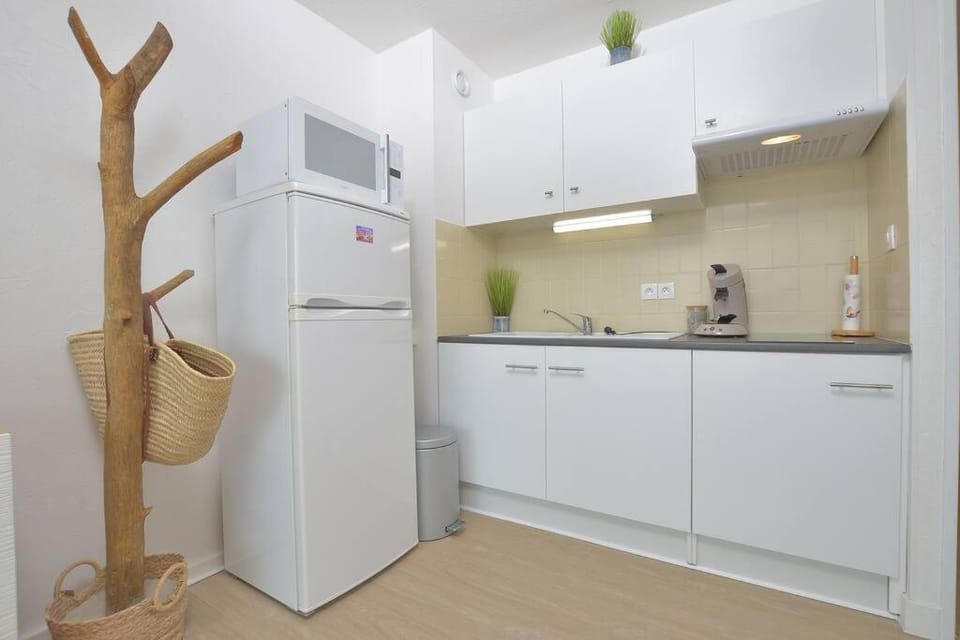 Appartement cosy 4 personnes Apartment in Le Grau-du-Roi