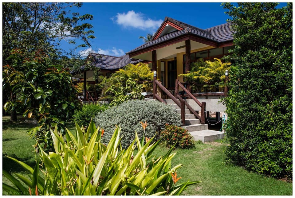 Property building, Day, Garden