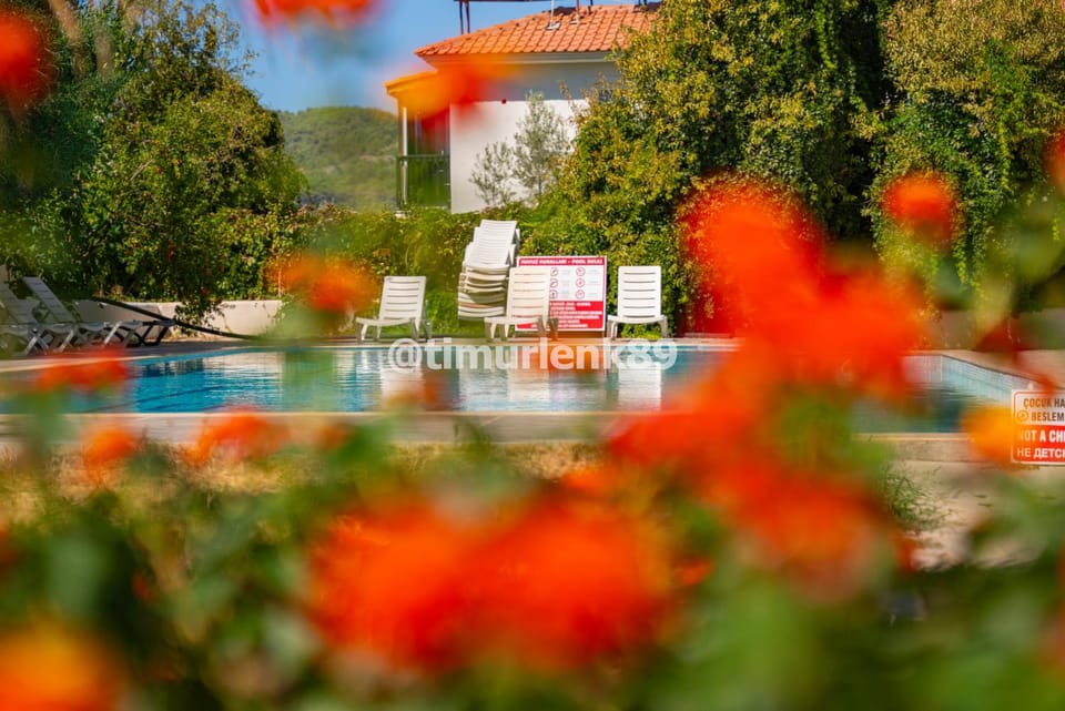 Swimming pool, sunbed