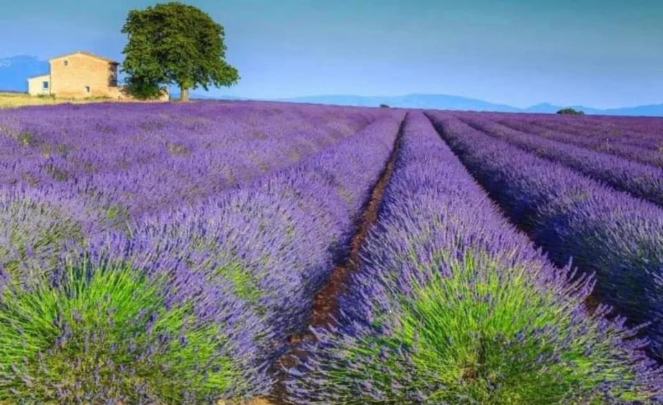 Natural landscape
