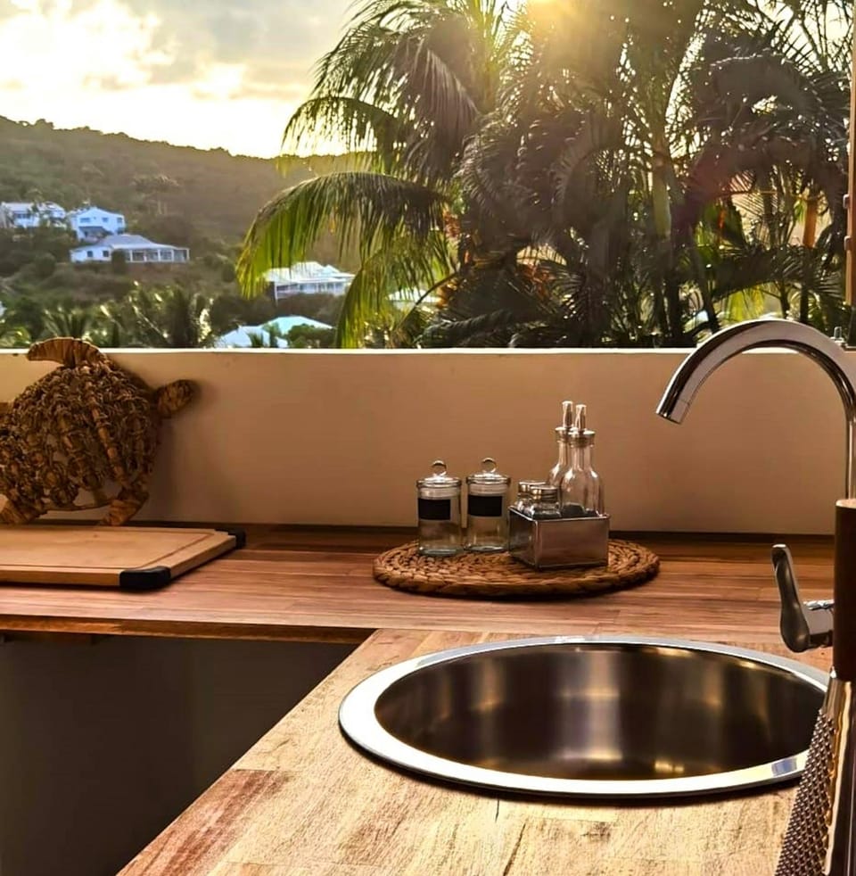 Kitchen or kitchenette, kitchen