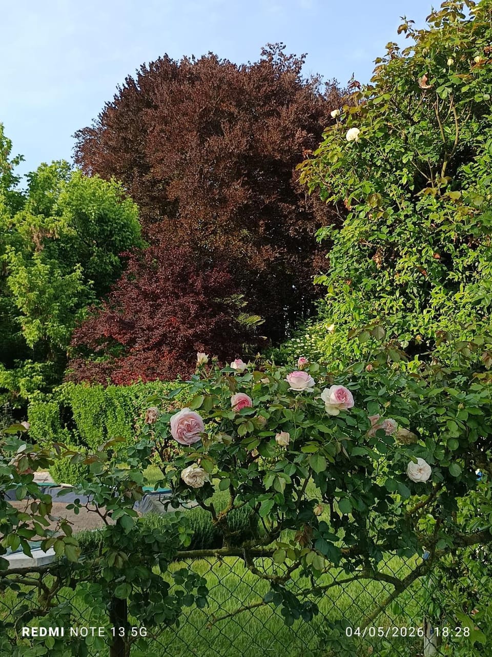 Garden view