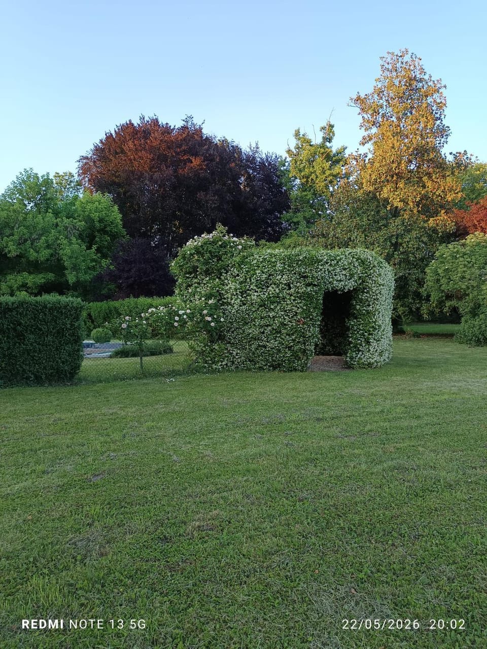Garden view