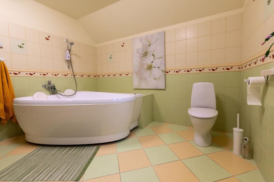 Viesu un ciemiņu brīvdienu māja Villa VĒJROZES Villa in Latvia