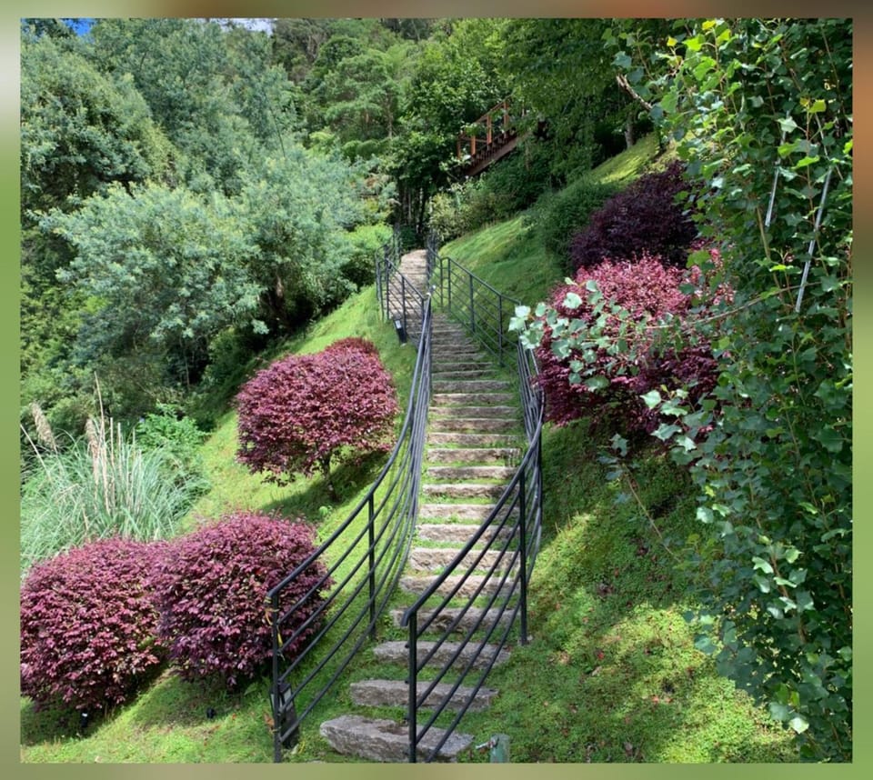 Natural landscape, Garden