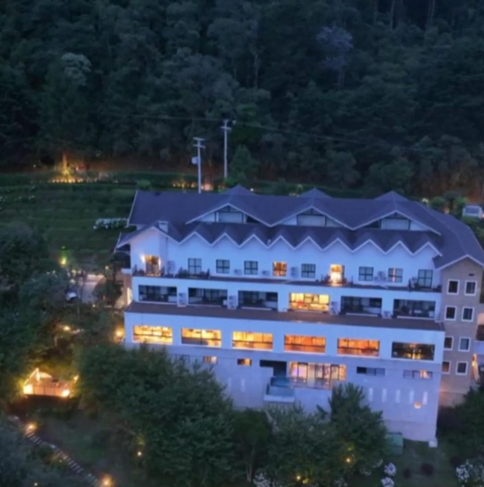 Property building, Night, Natural landscape