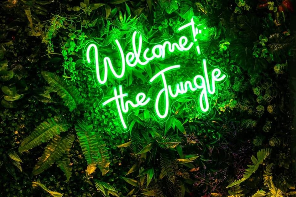Tropical Jungle Loveroom Pau centre Apartment in Pau