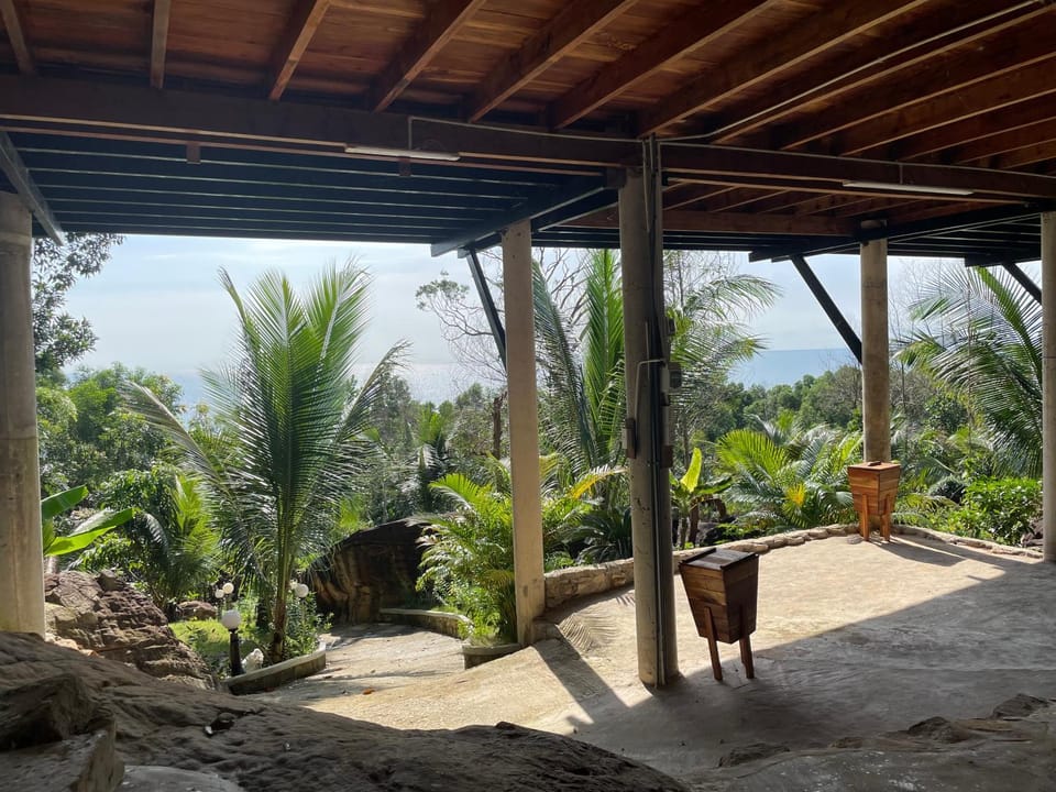Natural landscape, Garden view